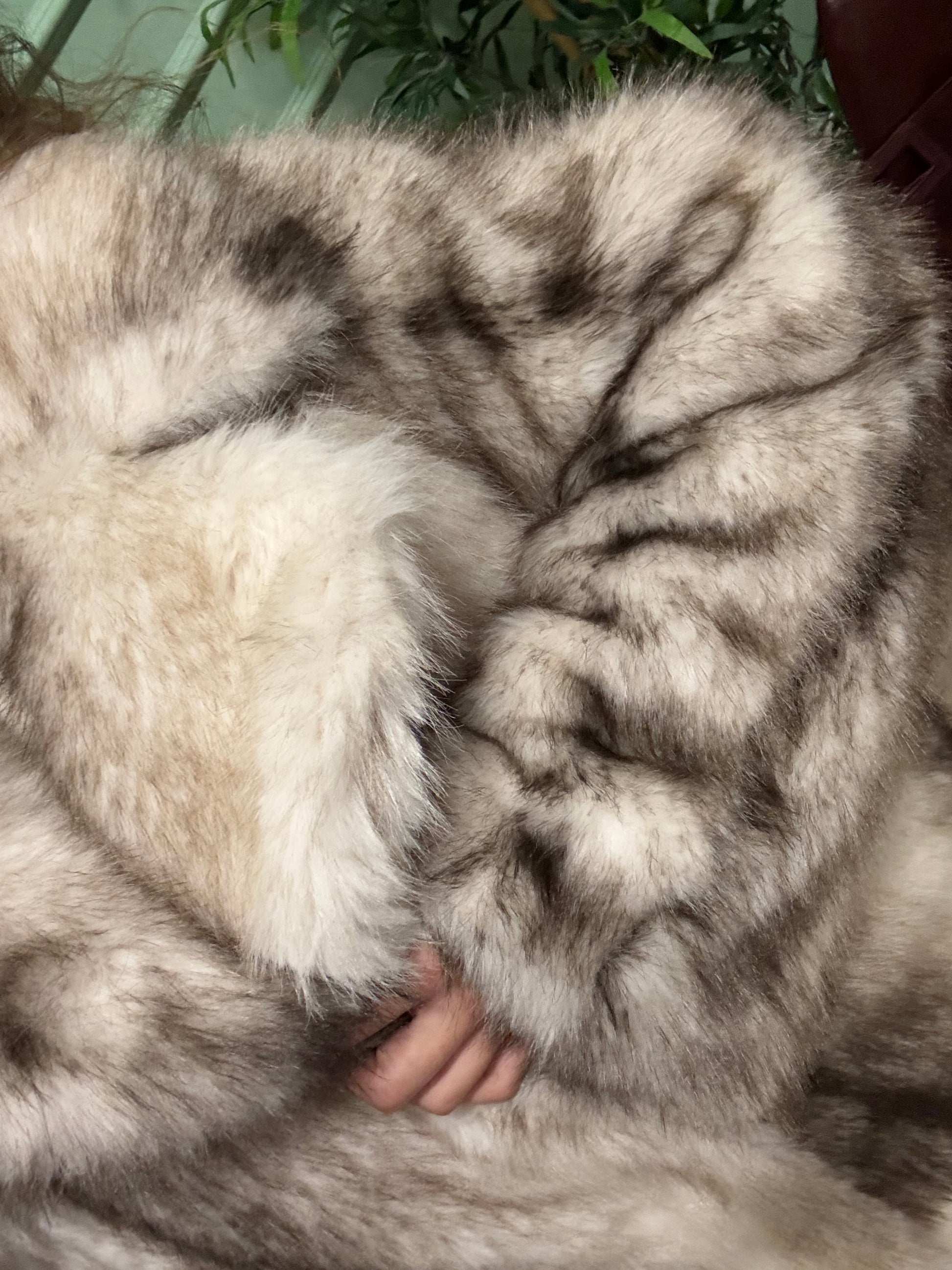 Pelliccia Parigi maniche lunghe